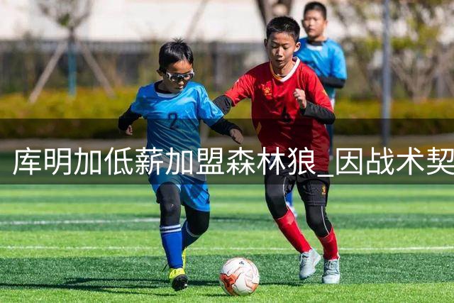 库明加低薪加盟森林狼 因战术契合获首发承诺